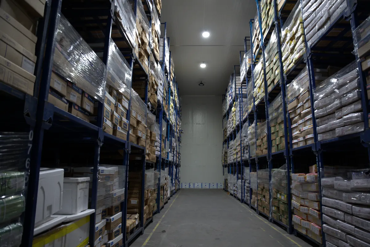 A high-bay cold-storage aisle at Arctic Kepong, racking rising on both sides into the cold
